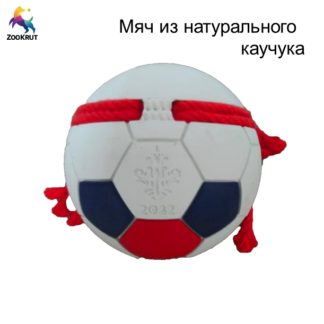 Мяч (Футбол)